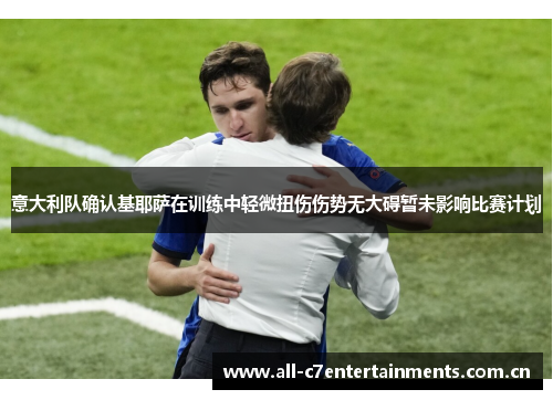 意大利队确认基耶萨在训练中轻微扭伤伤势无大碍暂未影响比赛计划